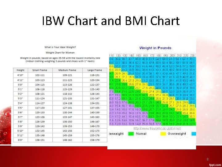 IBW Chart and BMI Chart 8 