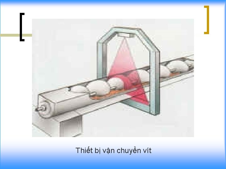 Thiết bị vận chuyển vít 