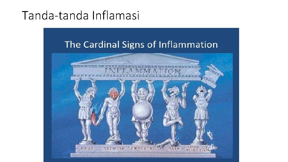 Tanda-tanda Inflamasi 