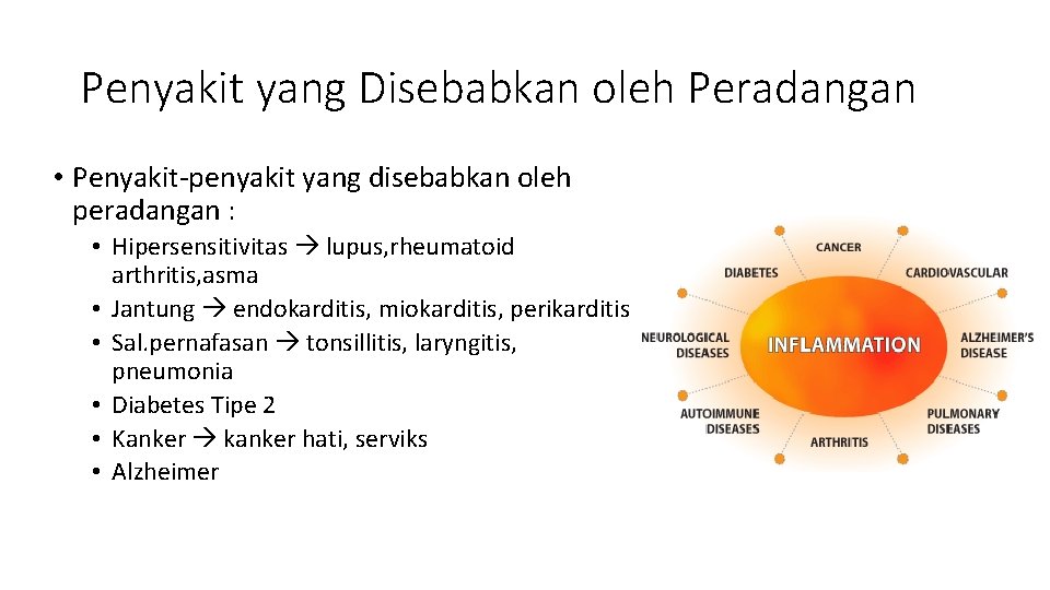 Penyakit yang Disebabkan oleh Peradangan • Penyakit-penyakit yang disebabkan oleh peradangan : • Hipersensitivitas