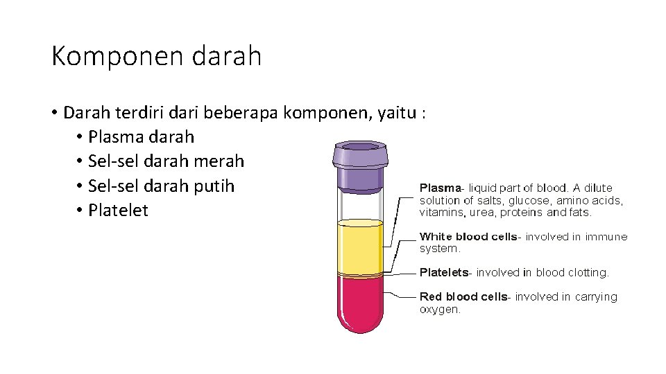 Komponen darah • Darah terdiri dari beberapa komponen, yaitu : • Plasma darah •