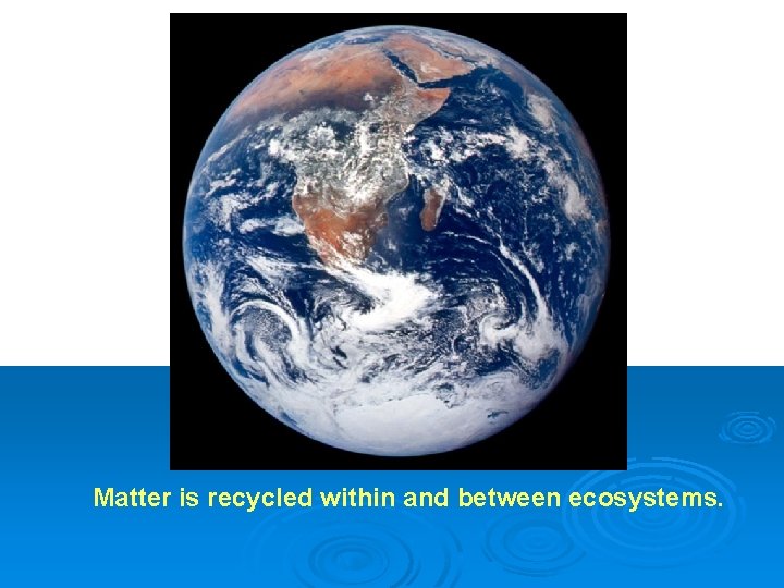 Earth Photo Matter is recycled within and between ecosystems. 