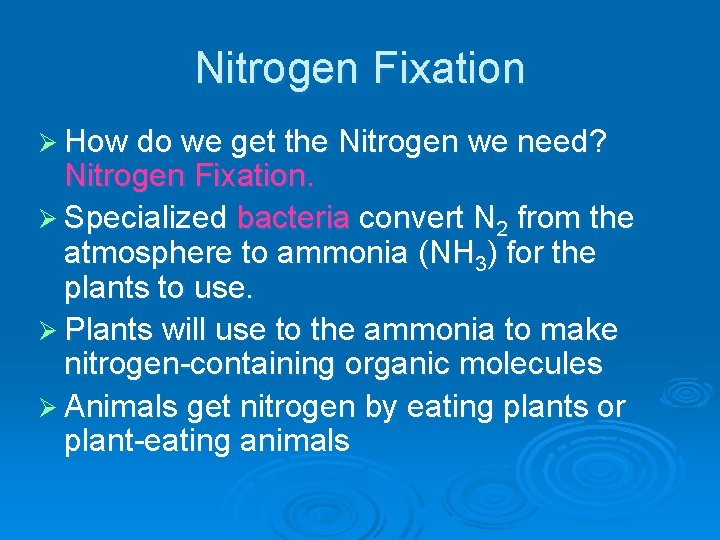 Nitrogen Fixation Ø How do we get the Nitrogen we need? Nitrogen Fixation. Ø