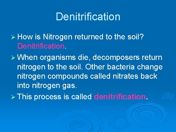 Denitrification Ø How is Nitrogen returned to the soil? Denitrification. Ø When organisms die,