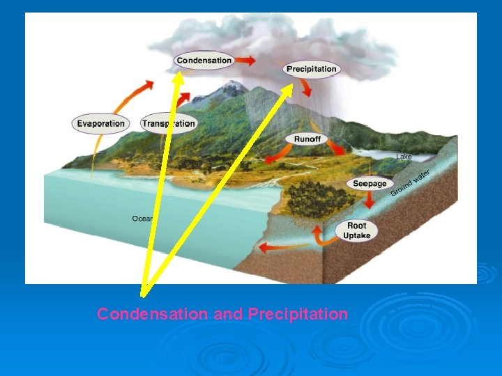 Condensation and Precipitation 