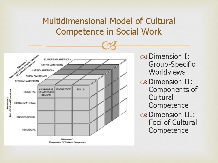 Multidimensional Model of Cultural Competence in Social Work Dimension I: Group-Specific Worldviews Dimension II: