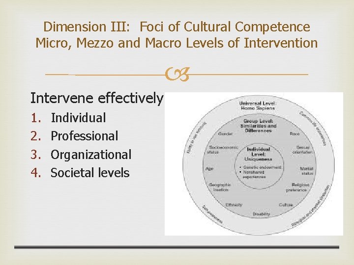 Dimension III: Foci of Cultural Competence Micro, Mezzo and Macro Levels of Intervention Intervene