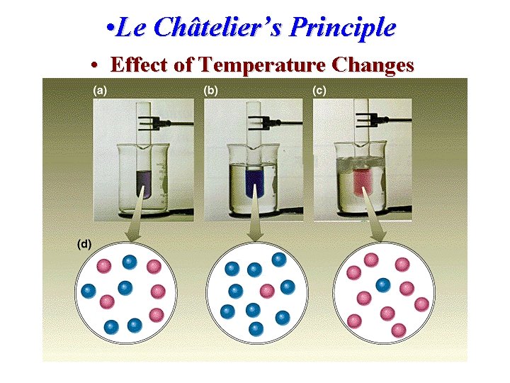  • Le Châtelier’s Principle • Effect of Temperature Changes 
