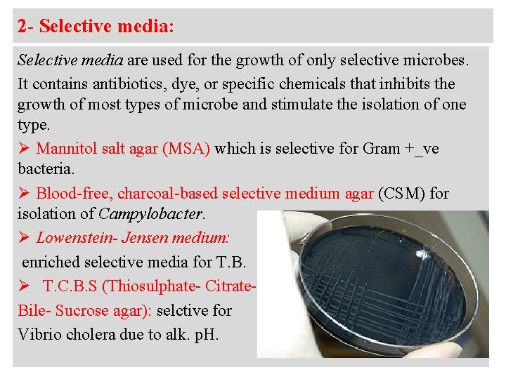 2 - Selective media: Selective media are used for the growth of only selective