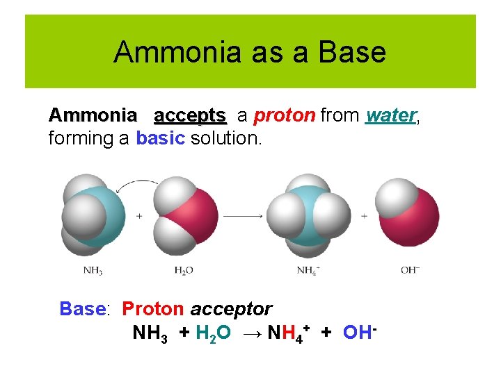 Ammonia as a Base Ammonia accepts a proton from water, forming a basic solution.