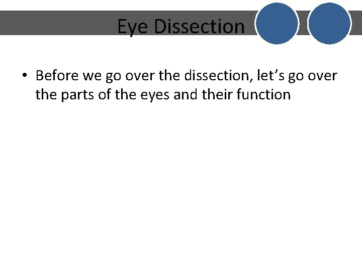 Eye Dissection • Before we go over the dissection, let’s go over the parts Eye Dissection • Before we go over the dissection, let’s go over the parts