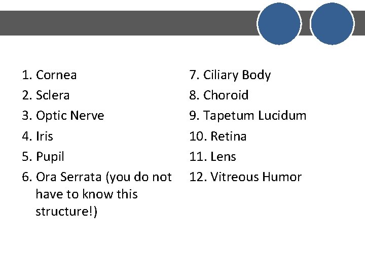1. Cornea 2. Sclera 3. Optic Nerve 4. Iris 5. Pupil 6. Ora Serrata 1. Cornea 2. Sclera 3. Optic Nerve 4. Iris 5. Pupil 6. Ora Serrata