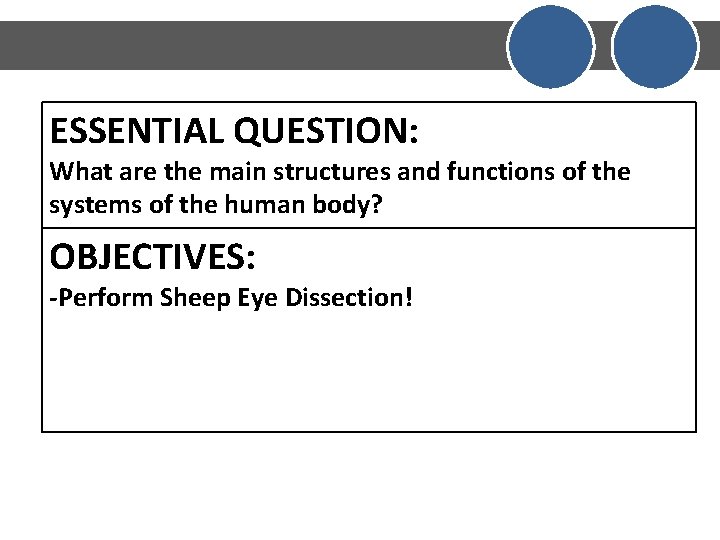 ESSENTIAL QUESTION: What are the main structures and functions of the systems of the ESSENTIAL QUESTION: What are the main structures and functions of the systems of the