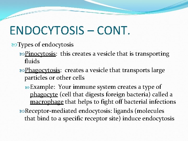 ENDOCYTOSIS – CONT. Types of endocytosis Pinocytosis: this creates a vesicle that is transporting
