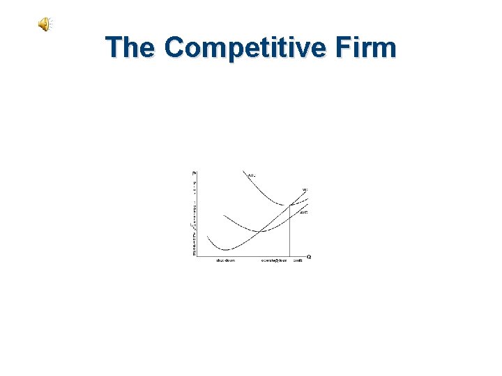 The Competitive Firm 