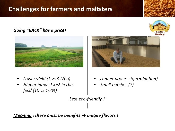 Challenges for farmers and maltsters Going “BACK” has a price! § Lower yield (3
