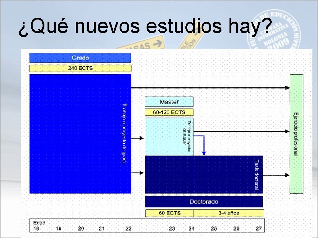 ¿Qué nuevos estudios hay? 