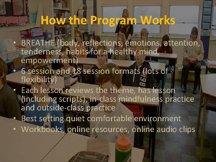 How the Program Works • BREATHE (body, reflections, emotions, attention, tenderness, habits for a