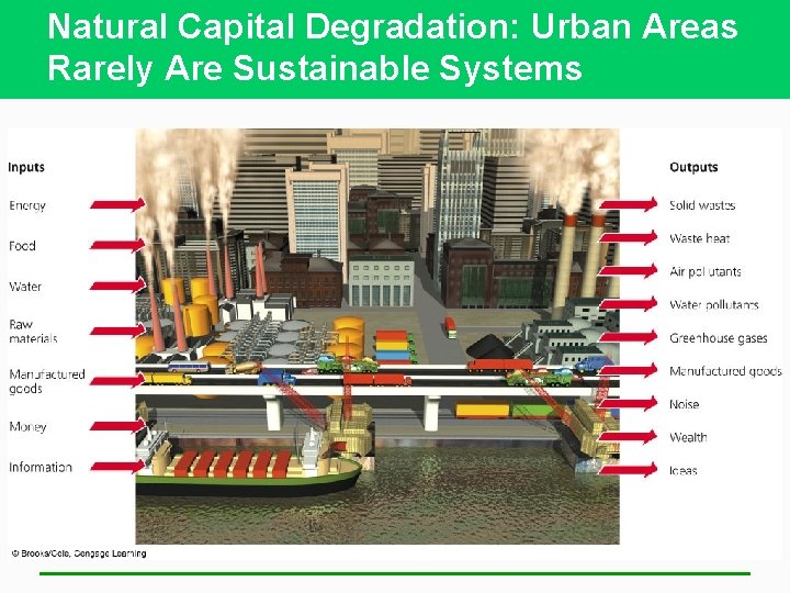 Natural Capital Degradation: Urban Areas Rarely Are Sustainable Systems 