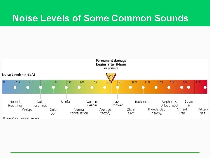 Noise Levels of Some Common Sounds 