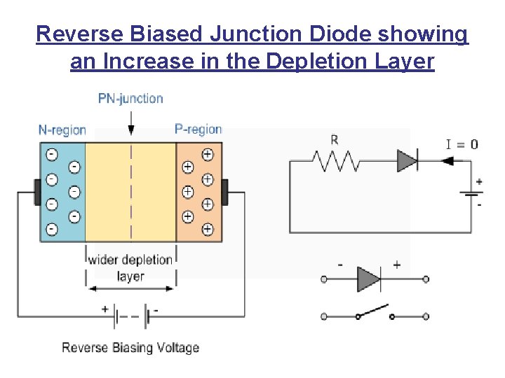Reverse Biased Junction Diode showing an Increase in the Depletion Layer 