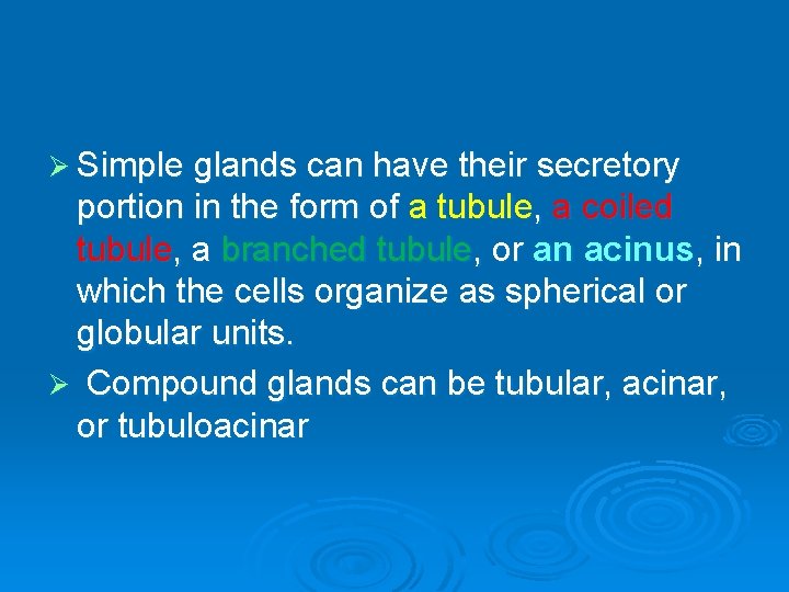 Ø Simple glands can have their secretory portion in the form of a tubule,