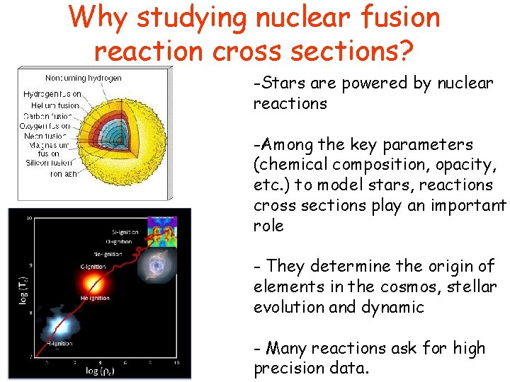 Why studying nuclear fusion reaction cross sections? -Stars are powered by nuclear reactions -Among