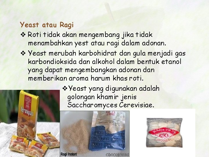 Yeast atau Ragi v Roti tidak akan mengembang jika tidak menambahkan yest atau ragi