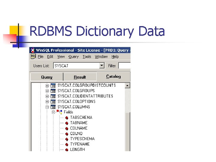 RDBMS Dictionary Data 