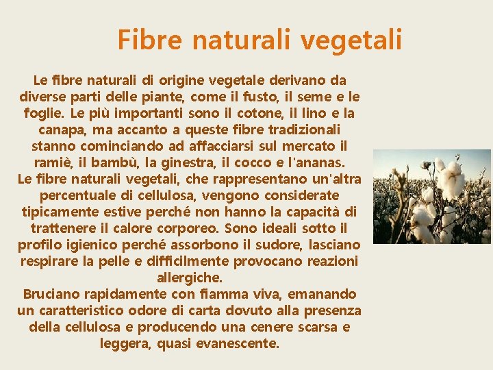 Fibre naturali vegetali Le fibre naturali di origine vegetale derivano da diverse parti delle