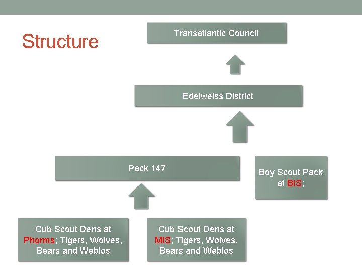 Transatlantic Council Structure Edelweiss District Pack 147 Cub Scout Dens at Phorms; Tigers, Wolves,