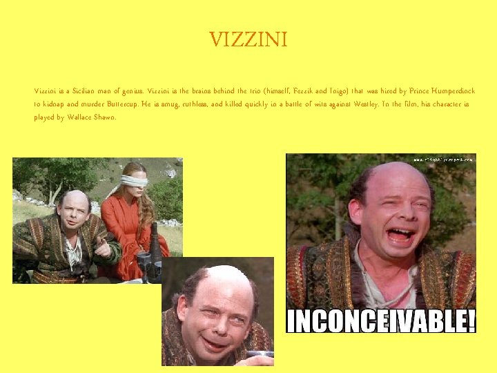 VIZZINI Vizzini is a Sicilian man of genius. Vizzini is the brains behind the