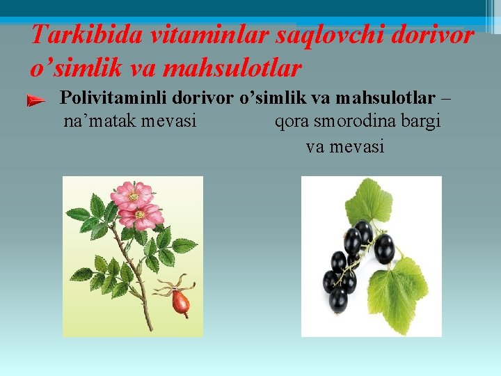 Tarkibida vitaminlar saqlovchi dorivor o’simlik va mahsulotlar Polivitaminli dorivor o’simlik va mahsulotlar – na’matak