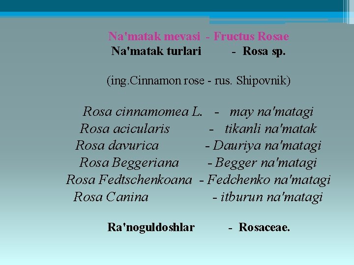 Na'matak mеvasi - Fructus Rosae Na'matak turlari - Rosa sp. (ing. Сinnamon rose -