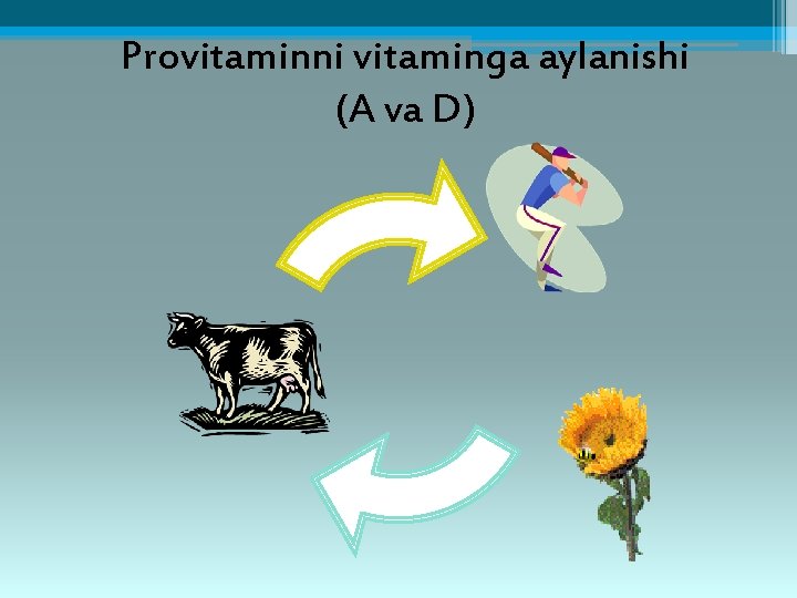 Provitaminni vitaminga aylanishi (A va D) 