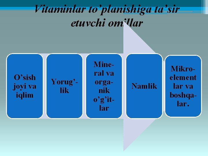 Vitaminlar to’planishiga ta’sir etuvchi omillar O’sish joyi va iqlim Yorug’lik Mineral va organik o’g’itlar