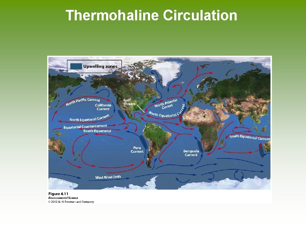 Thermohaline Circulation 