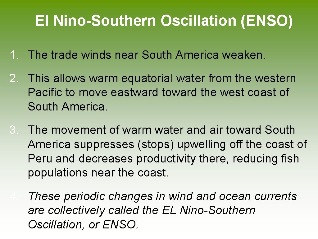 El Nino-Southern Oscillation (ENSO) 1. The trade winds near South America weaken. 2. This