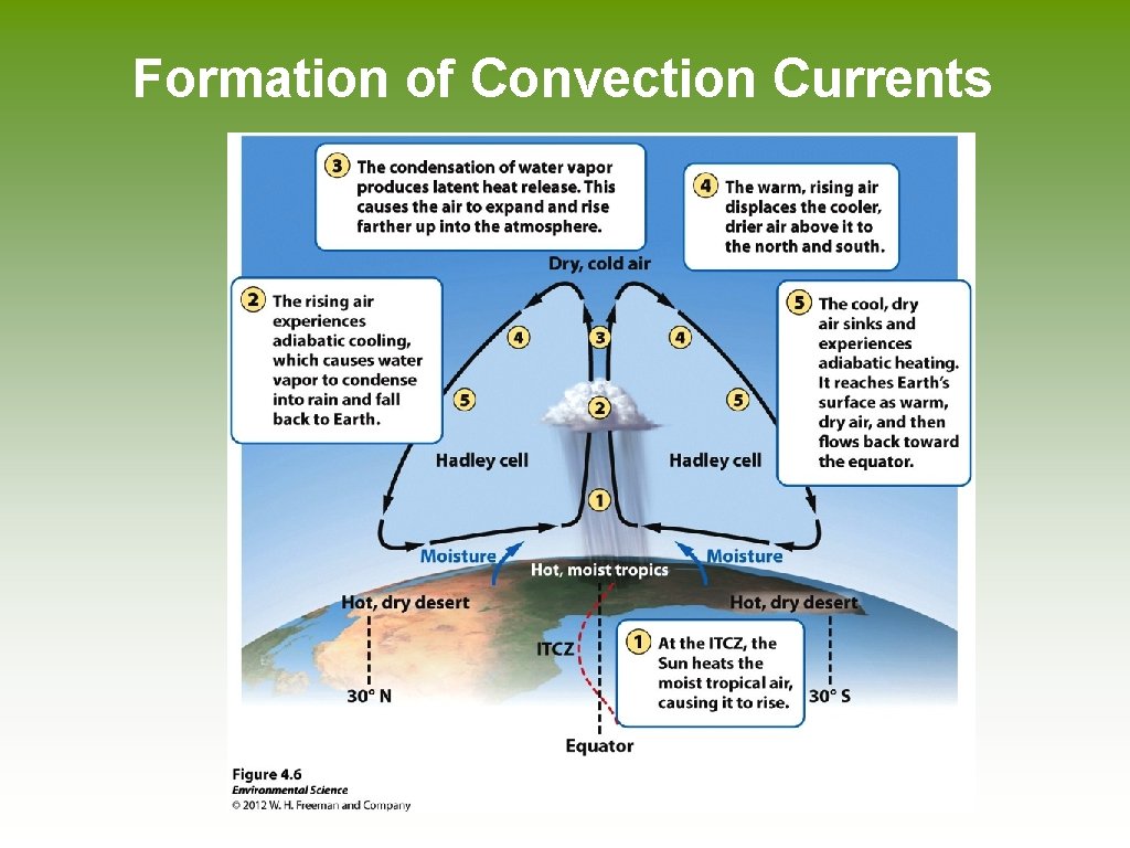 Formation of Convection Currents 