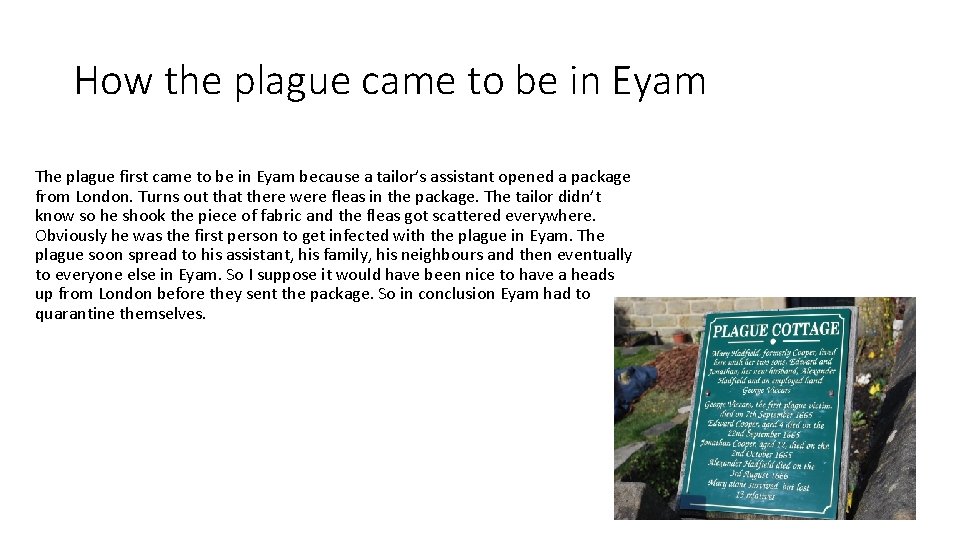 How the plague came to be in Eyam The plague first came to be