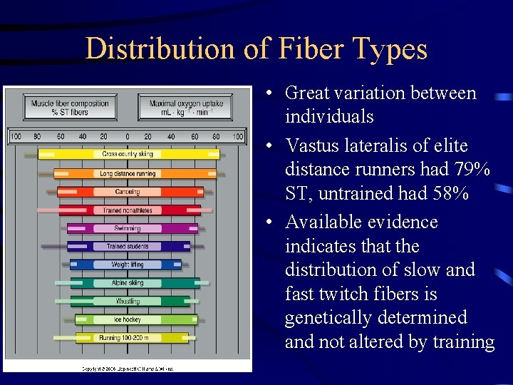 Distribution of Fiber Types • Great variation between individuals • Vastus lateralis of elite