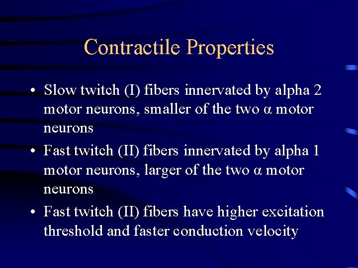 Contractile Properties • Slow twitch (I) fibers innervated by alpha 2 motor neurons, smaller
