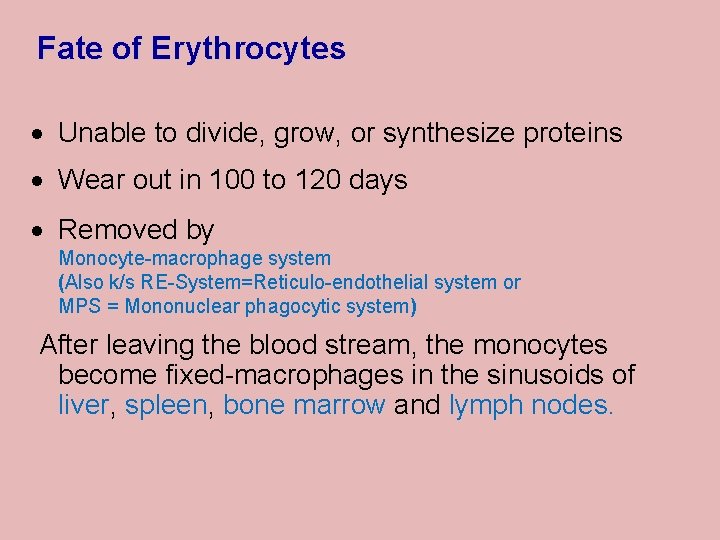 Fate of Erythrocytes · Unable to divide, grow, or synthesize proteins · Wear out
