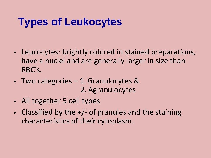 Types of Leukocytes Leucocytes: brightly colored in stained preparations, have a nuclei and are