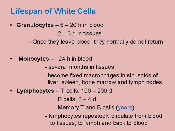 Lifespan of White Cells • Granulocytes – 6 – 20 h in blood 2