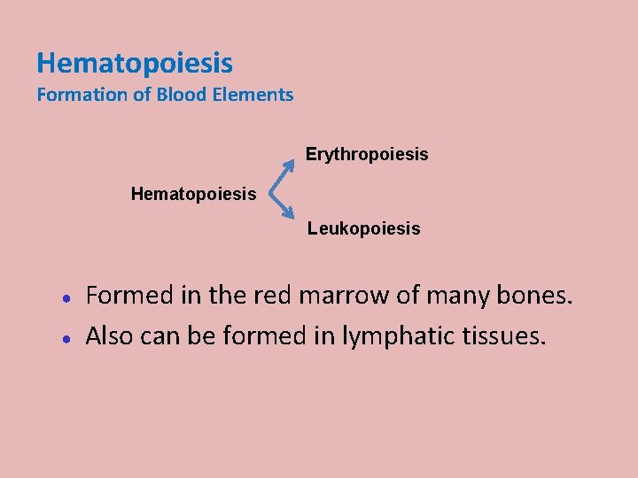 Hematopoiesis Formation of Blood Elements Erythropoiesis Hematopoiesis Leukopoiesis ● ● Formed in the red