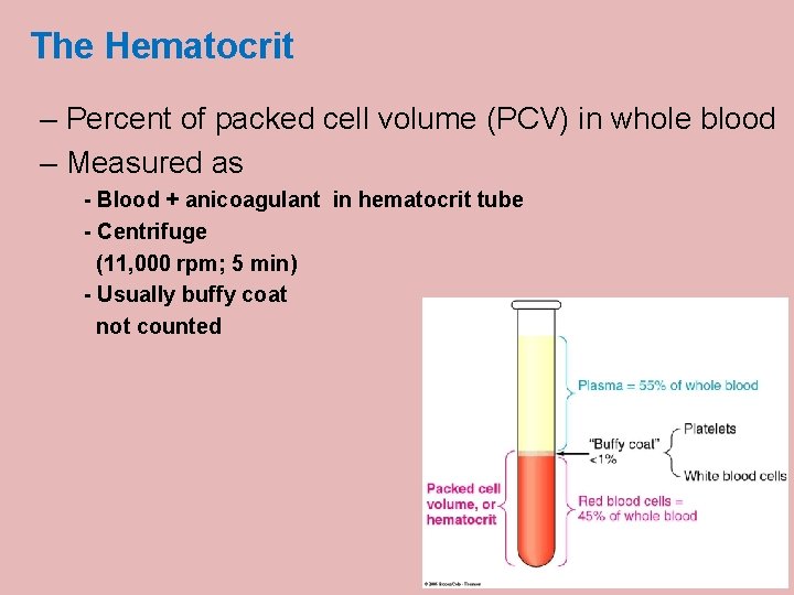 The Hematocrit – Percent of packed cell volume (PCV) in whole blood – Measured