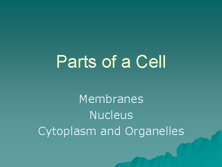 Parts of a Cell Membranes Nucleus Cytoplasm and Organelles 