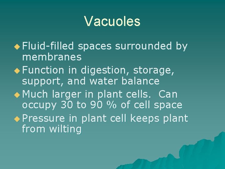 Vacuoles u Fluid-filled spaces surrounded by membranes u Function in digestion, storage, support, and