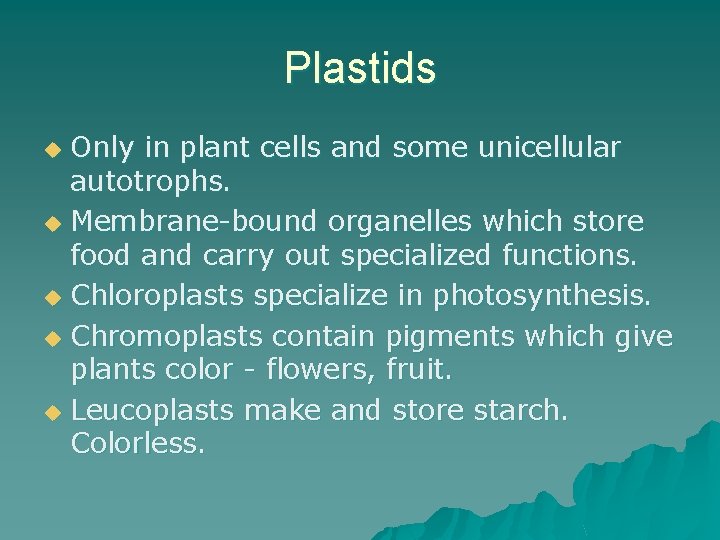 Plastids Only in plant cells and some unicellular autotrophs. u Membrane-bound organelles which store
